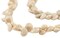 The Bead Chest Sea Spiral Natural Shell Beads: Genuine White Shell Unusual Shape Beads for Bohemian Jewelry, Full Strand